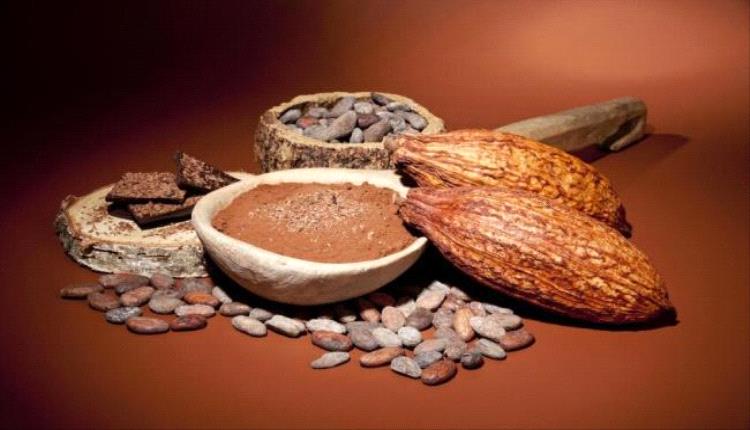 دراسة حديثة تكشف مدى تأثير الكاكاو على العين