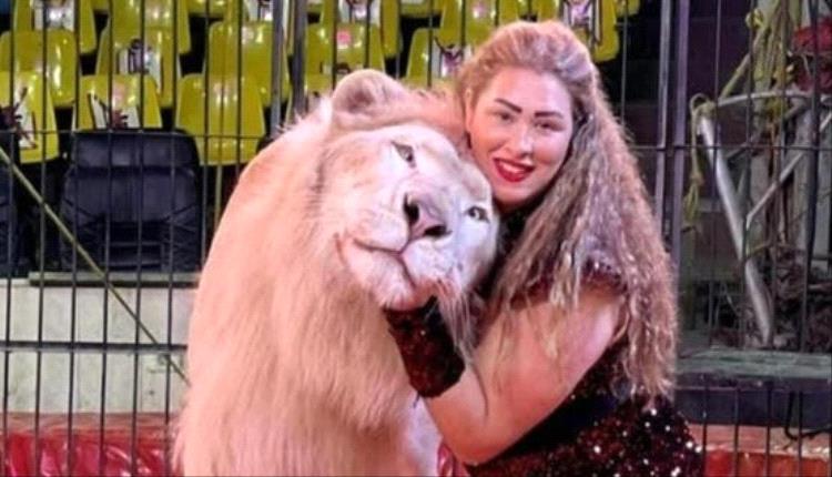 حادث مروع في مصر.. شبل أسد يهاجم طفلة داخل سيرك بالعجوزة