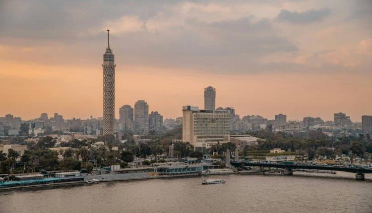 خبراء يتحدثون عن سبب الانتشار المفاجئ للذباب في مصر