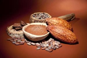 دراسة حديثة تكشف مدى تأثير الكاكاو على العين