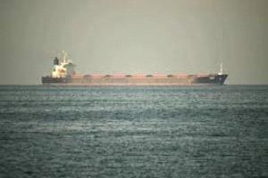 شركة تايلاندية: العثور على رفات بشري في سفينة تعرضت لهجوم في هرمز