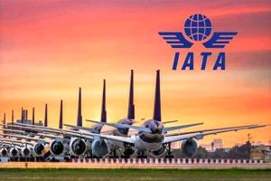 إياتا: أسعار تذاكر الطيران والوقود ستظل مرتفعة