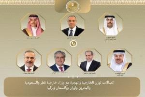 وزير الخارجية المصري يبحث جهود التهدئة مع نظرائه في عدد من الدول