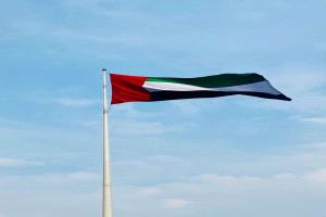 الإمارات تعلن قرار الخروج من "أوبك" و "أوبك +"