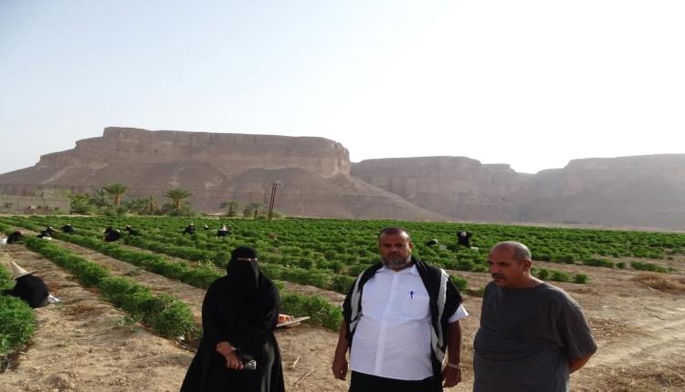 اللجنة الوطنية للمرأة  تزور المزارعات في مديرية دوعن للاطلاع على تحديات التغيرات المناخية وأثرها على المرأة الريفية.
