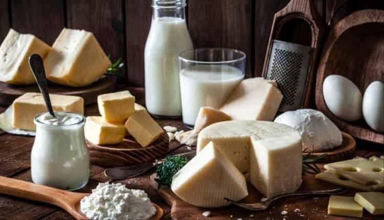 مفيدة لصحة الأمعاء.. بكتيريا تُضفي على الجبن مذاقه الرائع