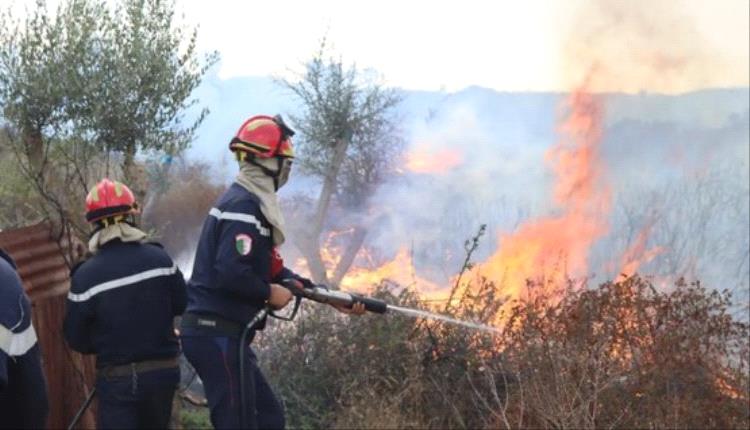 وفاة 12 شخصا جراء حرائق الغابات في الجزائر