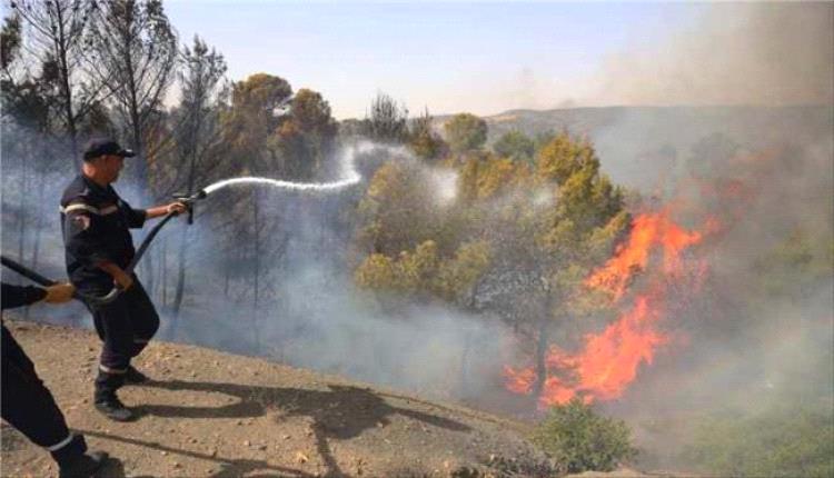 الجزائر تسجل 73 وفاة جراء حرائق الغابات ودفن جماعي لـ39 ضحية في ولاية جيجل
