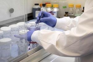 اليابان تعلن عن أول دواء فيروسي لعلاج سرطان المريء
