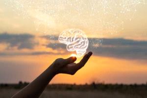 علماء يكتشفون: تحول خفي في الدماغ يبدأ في سن الـ50
