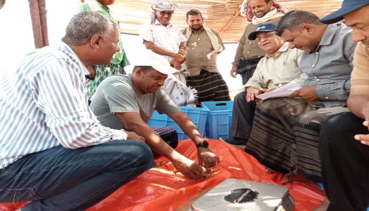 المستشار الفني للوزارة يشارك 
بدشين افتتاح موسم الشروخ الصخري للعام 2026م بمحافظة ارخبيل سقطرى 