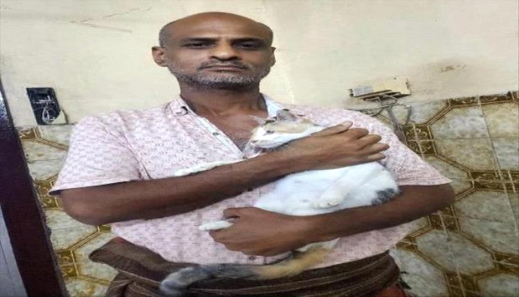 مناشدة إنسانية لدعم ملجأ خيري للقطط في مديرية المنصورة
