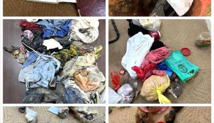 تفكيك أخطر شبكة سحر وشعوذة في شبوة
