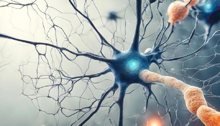 عادتان بسيطتان قد تخفضان خطر الإصابة بمرض عصبي قاتل