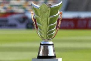 الاتحاد الآسيوي لكرة القدم: أستراليا واليابان تبديان اهتمامهما باستضافة كأس آسيا 2035
