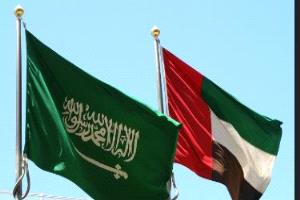 المخاطر الحقيقية للخلاف السعودي الإماراتي
التنافس الإقليمي سيزيد التوترات إلى ما هو أبعد من الخليج