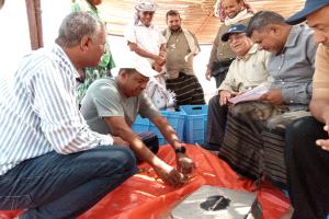 المستشار الفني للوزارة يشارك 
بدشين افتتاح موسم الشروخ الصخري للعام 2026م بمحافظة ارخبيل سقطرى 