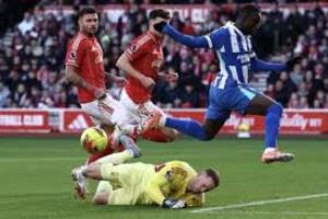 موعد مباراة برايتون ونوتينجهام فورست في الدوري الإنجليزي