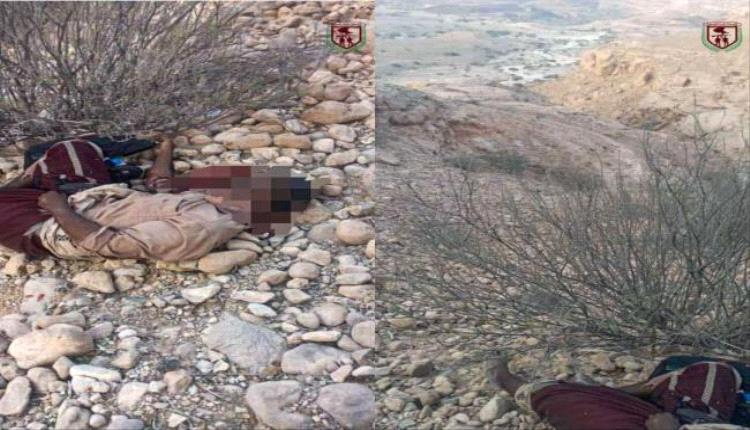 القوات الحكومية الجنوبية تقضي على عنصر إرهابي بعد تفجير عبوة ناسفة في شبوة