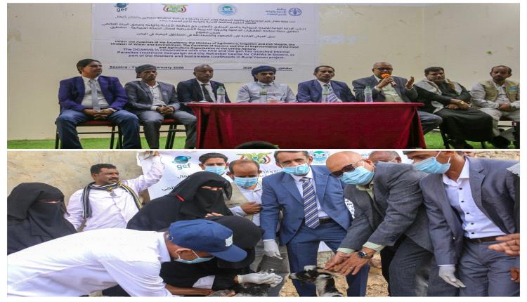 برعاية الوزير السقطري 

تدشين حملة معالجة الطفيليات الدخيلة والدورة التدريبية لعمال الصحة الحيوانية بسقطرى