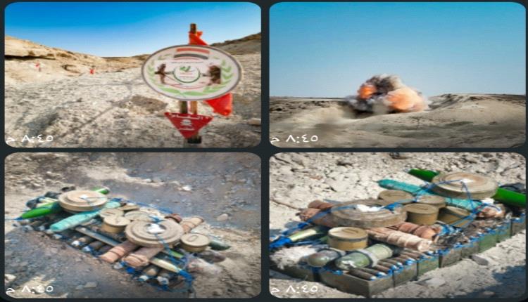 المكلا: مشروع 