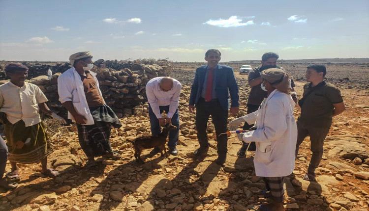 وفد وزارة الزراعة ينفذ زيارة ميدانية إلى منطقتي دكسم ونوجد للاطلاع على أوضاع القطاع الزراعي