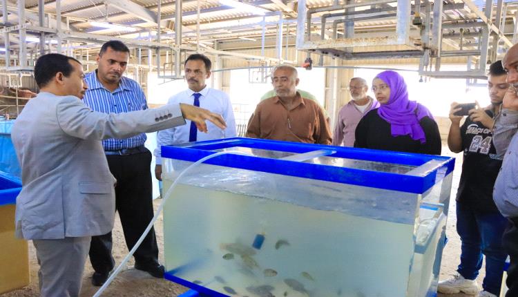الوكيل غازي لحمر يطلع على سير العمل في مركز تربية الأحياء المائية والاستزراع السمكي في عدن
