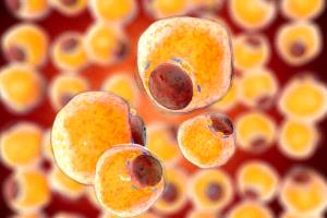 فوائد فقدان الوزن لصحة الأنسجة الدهنية في الجسم