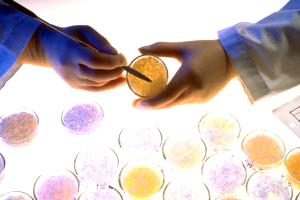 ابتكار ألماني قد يغيّر مستقبل صناعة البلاستيك