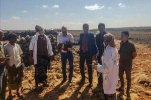 وفد وزارة الزراعة ينفذ زيارة ميدانية لتقييم أوضاع القطاع الزراعي والبيطري في سقطرى