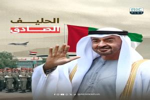 حلفاء ولكن..الدرس القاسي الذي تعلمناه أن الحليف الجبان سيخذلك في قلب المعركة