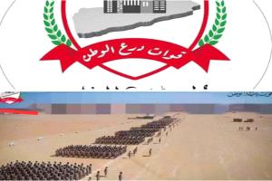 
مصدر يؤكد عدم السماح لقوات درع الوطن بالدخول للعاصمة عدن