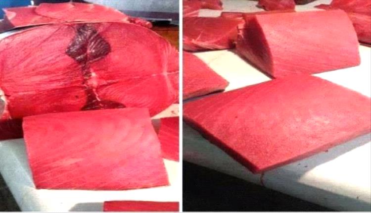 ارتفاع جنوني في أسعار الأسماك بعدن اليوم الجمعة 17 يوليو 2026م
