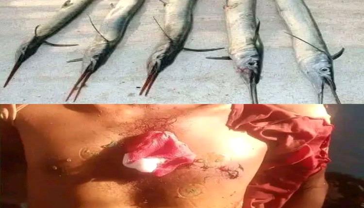 فاجعة في ساحل الخوخة.. رحيل الصياد ناصر محمد عوض
فجر اليوم