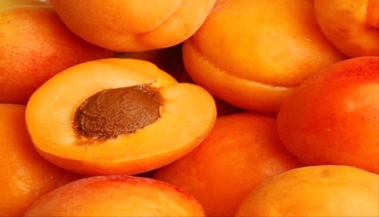 تعرف على فوائد المشمش ومخاطره
