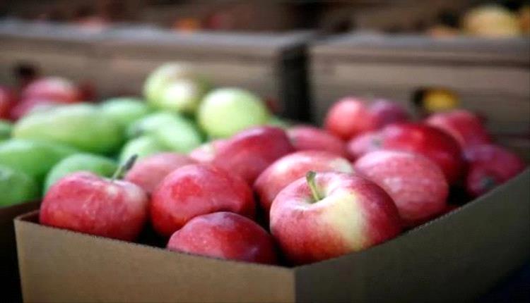 التفاح: صديق القلب ومخفض الكوليسترول الطبيعي
