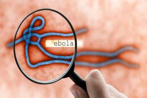 ارتفاع إصابات إيبولا بالكونغو لـ1203.. وواشنطن ترفع درجة الاستعداد لأول مستوى