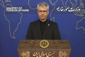 طهران تنتقد اتهامات ألبانيا: ربما يقولون لاحقاً إن طيور الفلامينغو عملاء لإيران
