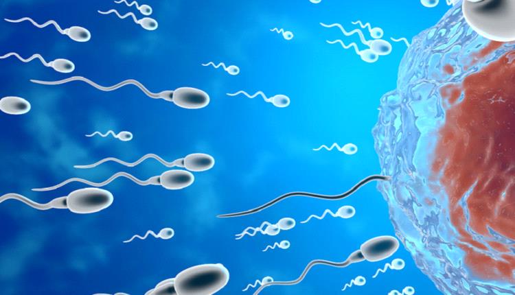 عامل غير متوقع يؤثر على الحيوانات المنوية!