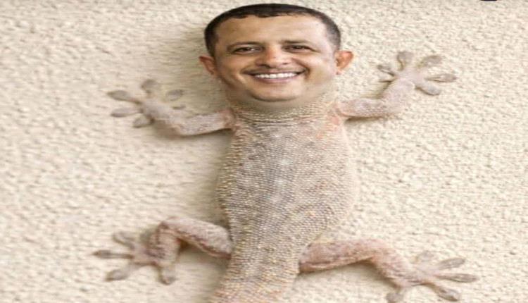 أماني الهلالي : تفحم فتحي بن لزرق : بتساؤلات جد محرجة 