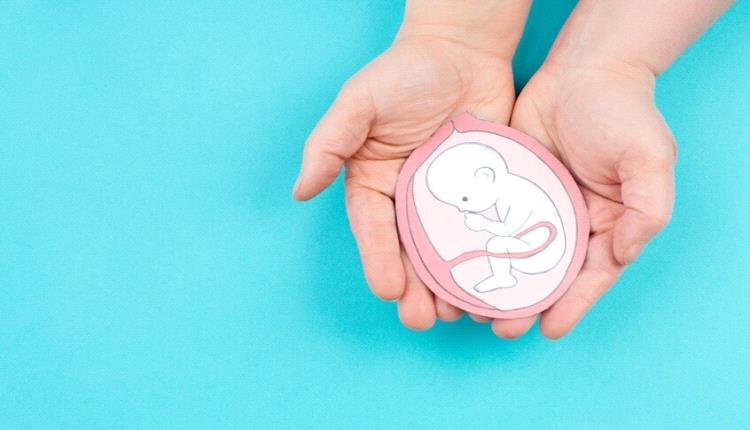 كيف يؤثر الحمل الأول على دماغ المرأة؟
