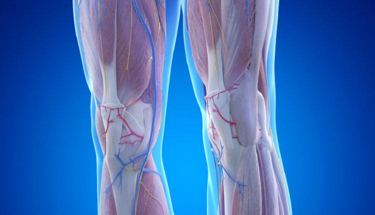 عامل خفي في العضلات قد يزيد خطر فقدان الأطراف