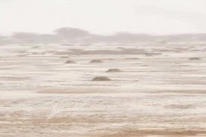 أمطار غزيرة وسيول تجتاح شوارع هذه المدينة