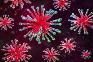 انتشار فيروس تنفسي يثير مخاوف صحية