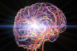 كوب حليب يوميا قد يحدّ من خطر السكتة الدماغية