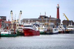 توقف أسطول الصيد الهولندي بسبب تكاليف الوقود