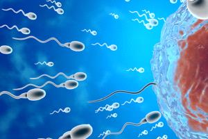 عامل غير متوقع يؤثر على الحيوانات المنوية!