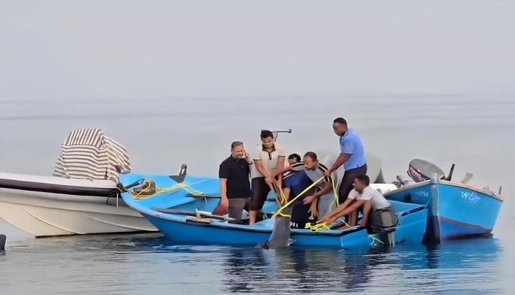 بيان رسمي غاضب في مصر بعد واقعة صادمة بالبحر الأحمر