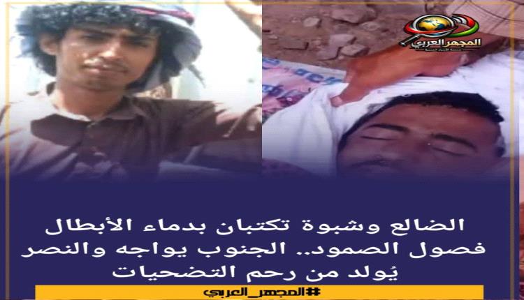 الضالع وشبوة تكتبان بدماء الأبطال فصول الصمود.. الجنوب يواجه والنصر يُولد من رحم التضحيات