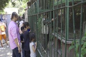 المصريون أنفقوا  100 مليار جنيه في 9 أيام.. مسؤول يكشف